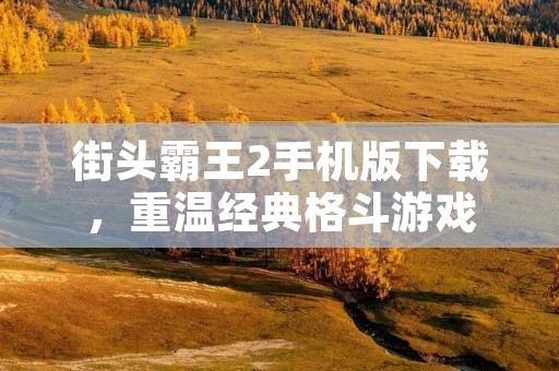 街头霸王2手机版下载,重温经典格斗游戏