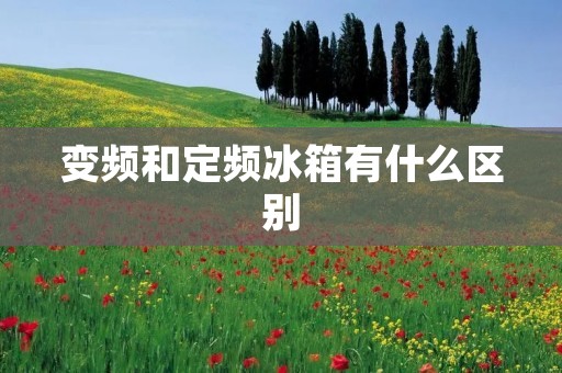 变频和定频冰箱有什么区别 变频和定频冰箱有什么区别