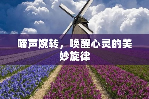 啼声婉转,唤醒心灵的美妙旋律
