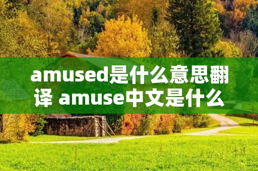 amused是什么意思翻译 amuse中文是什么意思