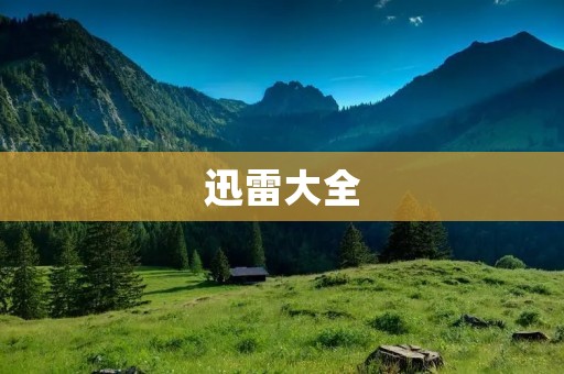 迅雷大全：下载神器，快速安全的下载利器