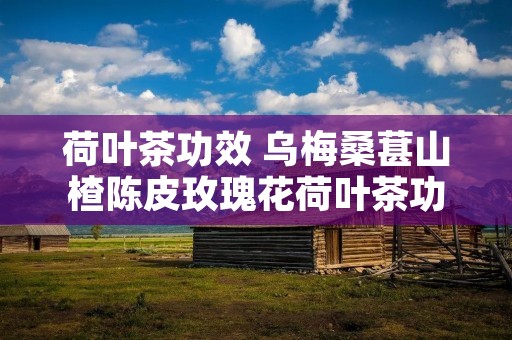 荷叶茶功效 乌梅桑葚山楂陈皮玫瑰花荷叶茶功效