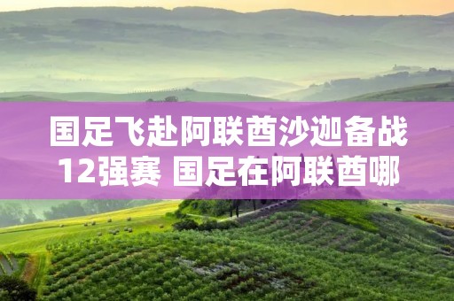 国足飞赴阿联酋沙迦备战12强赛 国足在阿联酋哪里比赛