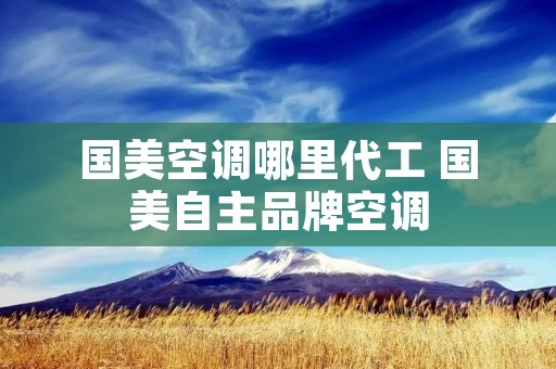 国美空调哪里代工 国美自主品牌空调