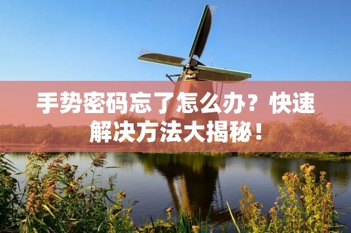 手势密码忘了怎么办?快速解决方法大揭秘!