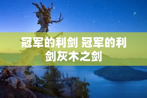 冠军的利剑 冠军的利剑灰木之剑 冠军的利剑 冠军的利剑灰木之剑