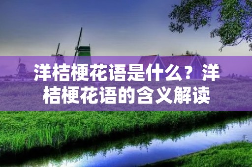 洋桔梗花语是什么?洋桔梗花语的含义解读 洋桔梗花语是什么?洋桔梗花语的含义解读