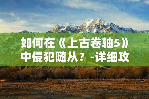 如何在《上古卷轴5》中侵犯随从?-详细攻略指南