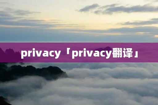privacy「privacy翻译」 privacy「privacy翻译」