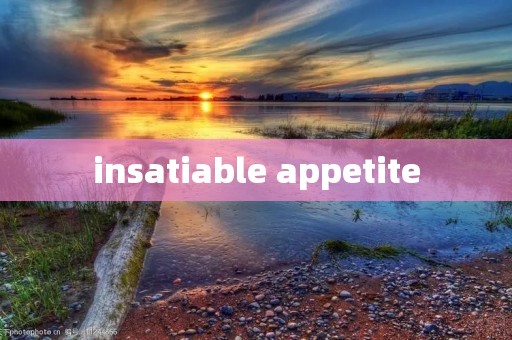 insatiable appetite insatiable appetite