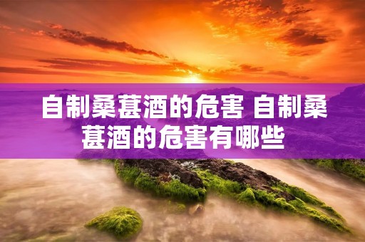 自制桑葚酒的危害 自制桑葚酒的危害有哪些