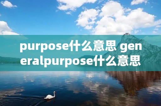 purpose什么意思 generalpurpose什么意思