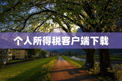个人所得税客户端下载：方便快捷的纳税助手