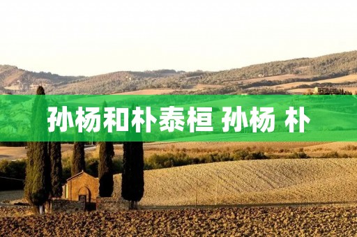 孙杨和朴泰桓 孙杨 朴 孙杨和朴泰桓 孙杨 朴