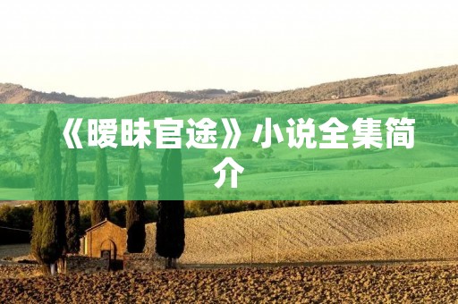 《暧昧官途》小说全集简介