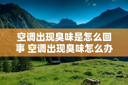空调出现臭味是怎么回事 空调出现臭味怎么办 空调出现臭味是怎么回事 空调出现臭味怎么办