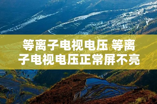 等离子电视电压 等离子电视电压正常屏不亮 等离子电视电压 等离子电视电压正常屏不亮