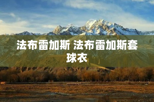 法布雷加斯 法布雷加斯套球衣 法布雷加斯 法布雷加斯套球衣