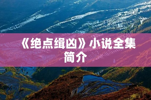 《绝点缉凶》小说全集简介