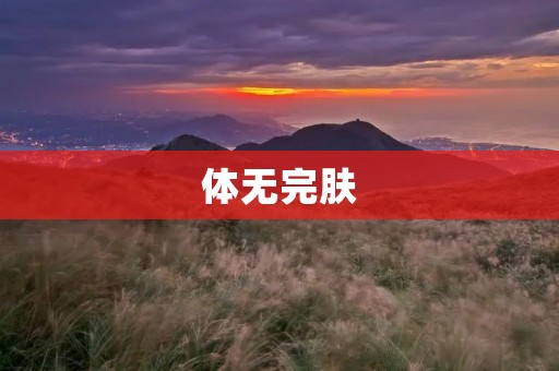 体无完肤:探讨现代社会的身心困境