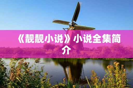 《靓靓小说》小说全集简介