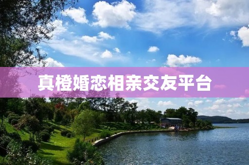 真橙婚恋相亲交友平台：寻找真爱的首选平台