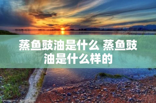 蒸鱼豉油是什么 蒸鱼豉油是什么样的 蒸鱼豉油是什么 蒸鱼豉油是什么样的