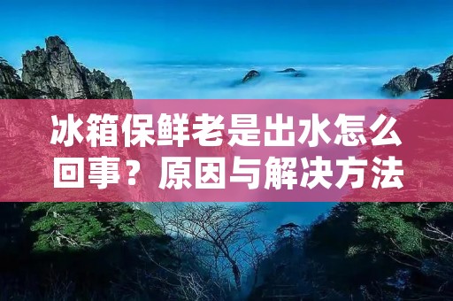 冰箱保鲜老是出水怎么回事?原因与解决方法详解 冰箱保鲜老是出水怎么回事?原因与解决方法详解