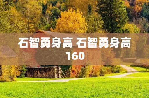 石智勇身高 石智勇身高160
