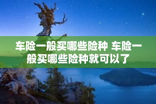 车险一般买哪些险种 车险一般买哪些险种就可以了 车险一般买哪些险种 车险一般买哪些险种就可以了
