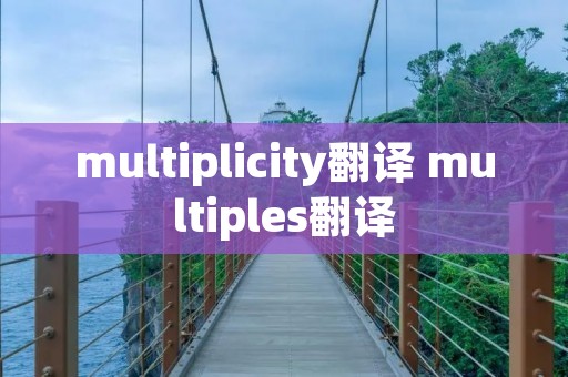 multiplicity翻译 multiples翻译