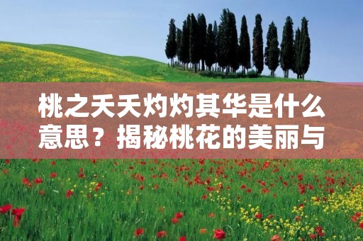 桃之夭夭灼灼其华是什么意思？揭秘桃花的美丽与象征