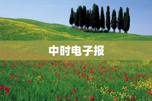 中时电子报：深入报道时事热点，第一时间传递新闻信息