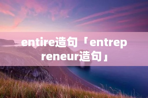 entire造句「entrepreneur造句」 entire造句「entrepreneur造句」