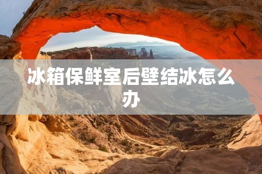 冰箱保鲜室后壁结冰怎么办