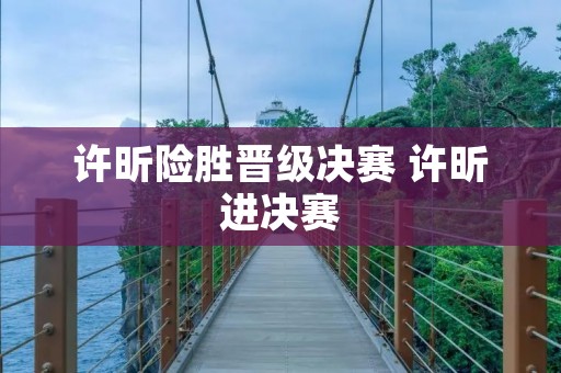 许昕险胜晋级决赛 许昕进决赛