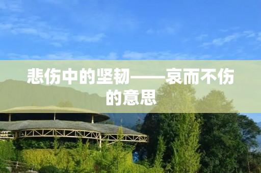 悲伤中的坚韧——哀而不伤的意思