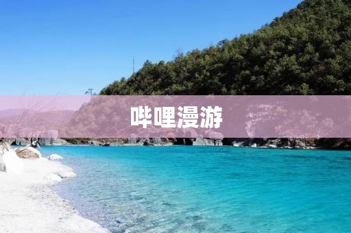 哔哩漫游:探索全新的动漫世界 哔哩漫游:探索全新的动漫世界