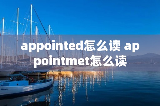 appointed怎么读 appointmet怎么读