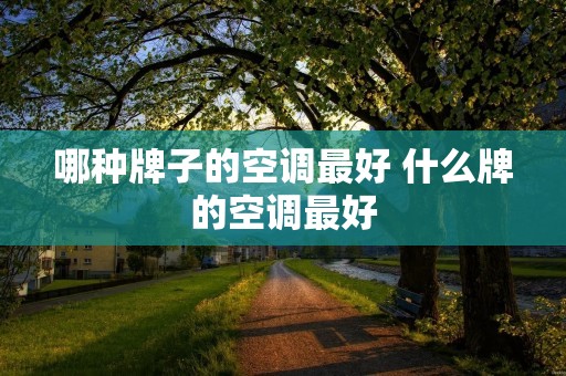 哪种牌子的空调最好 什么牌的空调最好