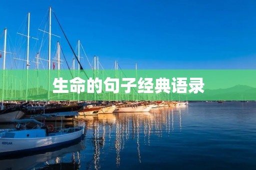 生命的句子经典语录:用文字记录生命的真谛