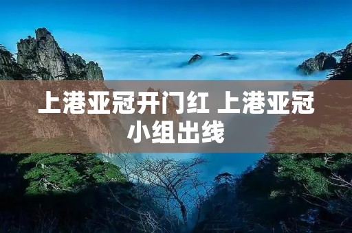 上港亚冠开门红 上港亚冠小组出线