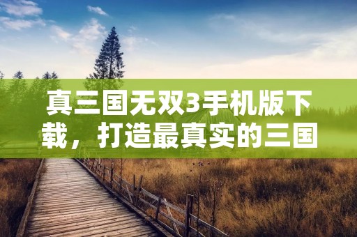 真三国无双3手机版下载,打造最真实的三国战场
