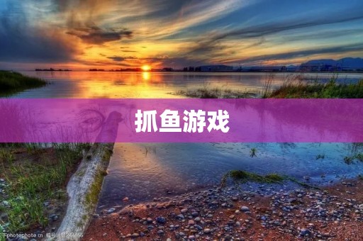抓鱼游戏：娱乐休闲好选择