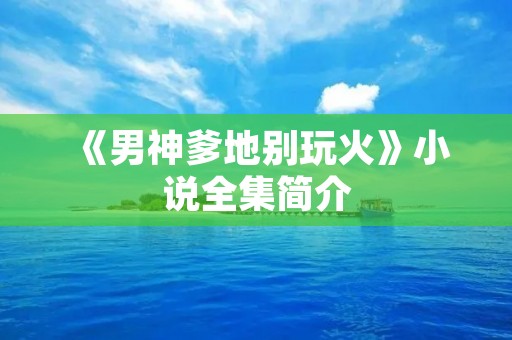 《男神爹地别玩火》小说全集简介