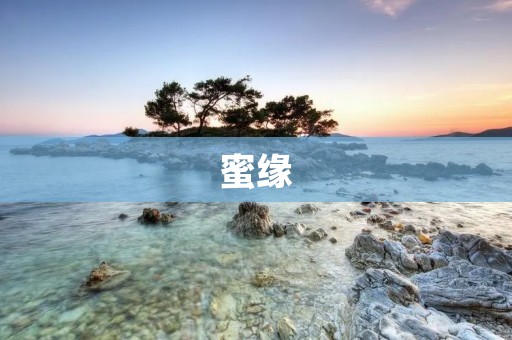 蜜缘：甜蜜而深刻的爱情缘分