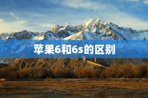 苹果6和6s的区别：技术升级与创新的差异