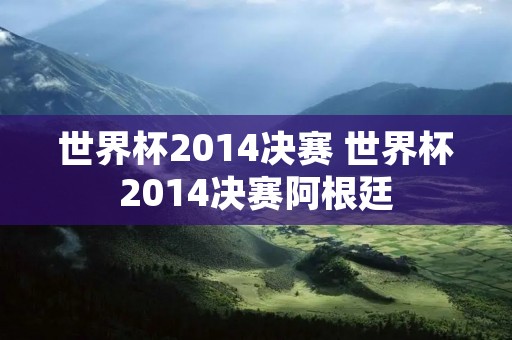 世界杯2014决赛 世界杯2014决赛阿根廷