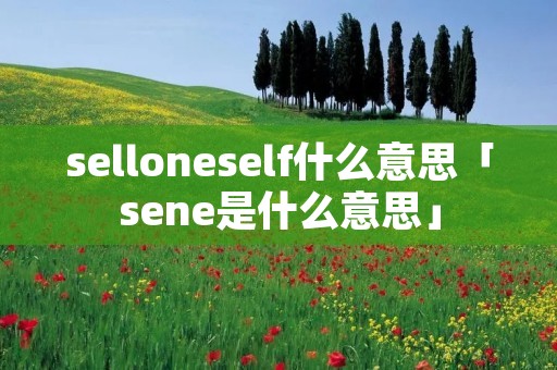 selloneself什么意思「sene是什么意思」