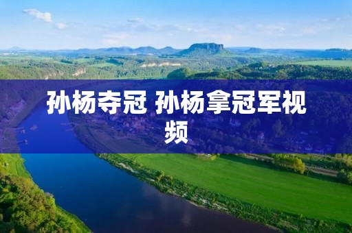 孙杨夺冠 孙杨拿冠军视频